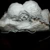 izanne wiid sunet ferreira ontvouing carrara marble bronze 04