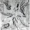 izanne wiid seatofknowledge relevation 004