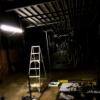 izanne wiid studio 1037